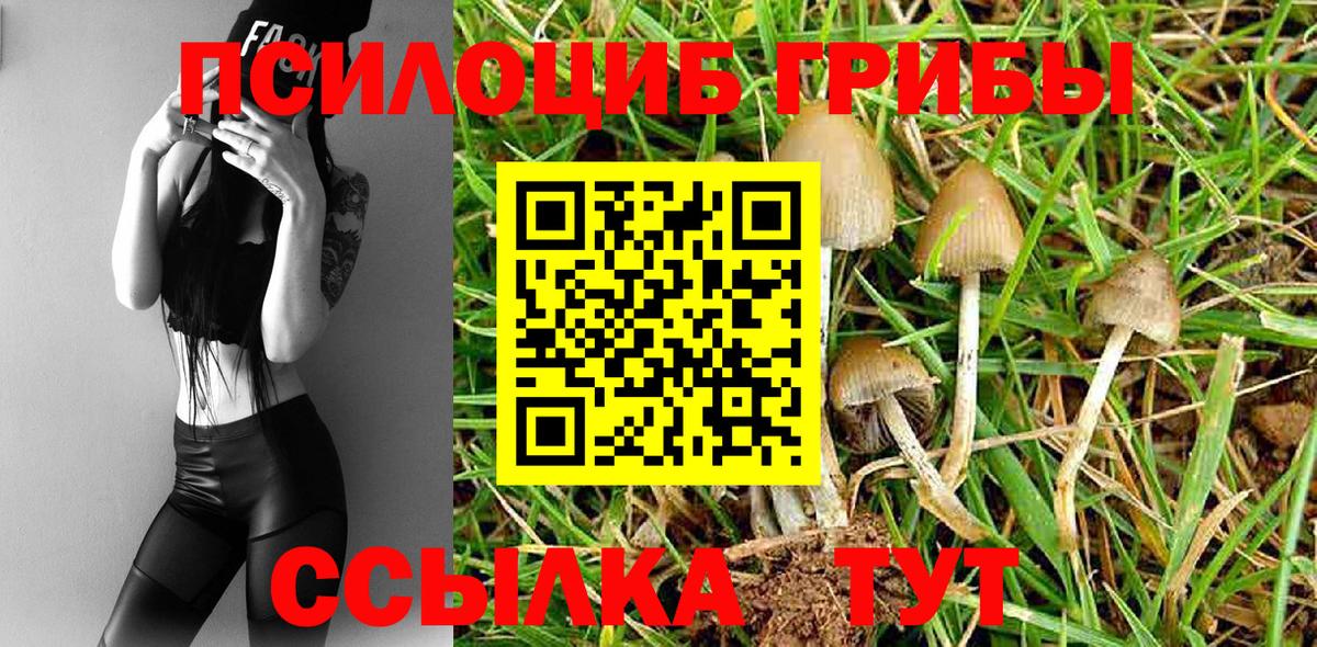 Галлюциногенные грибы мицелий Тамбов