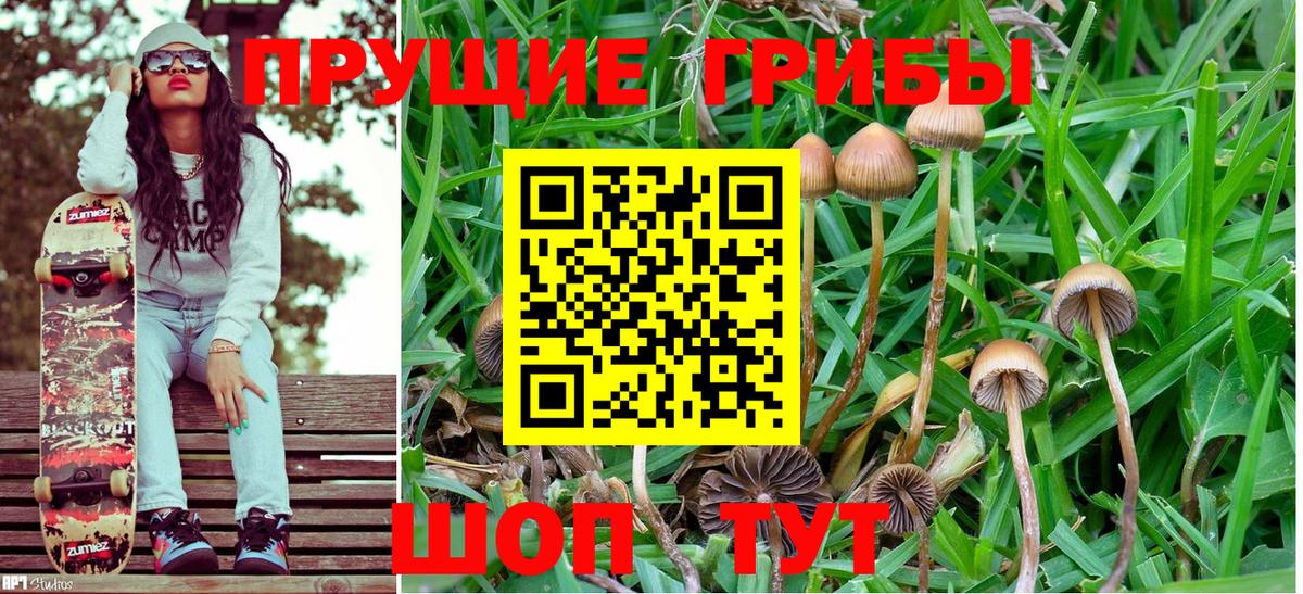 Псилоцибиновые грибы GOLDEN TEACHER  Вход с VPN  Тамбов 